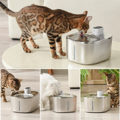 PureFlow Filtered Water Fountain – Fresh, filtered water your cat actually wants to drink